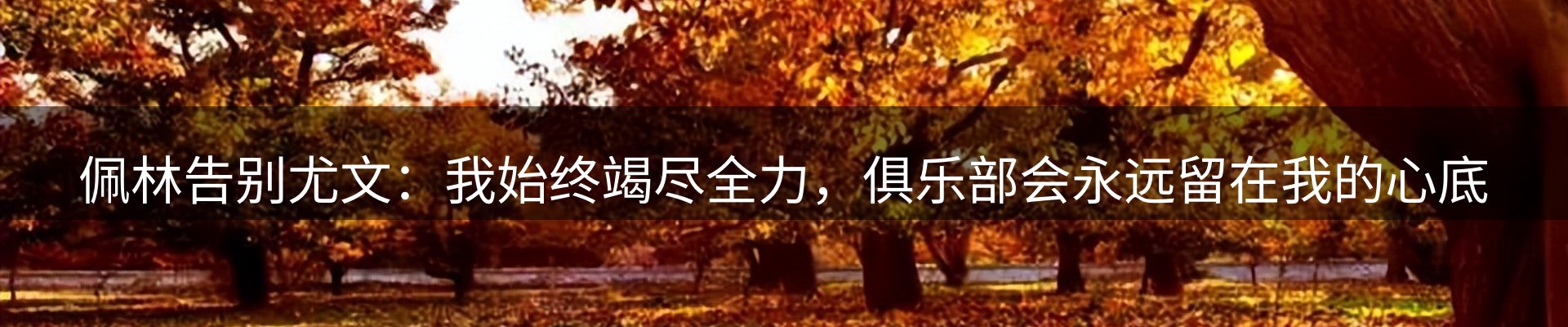行业汇总