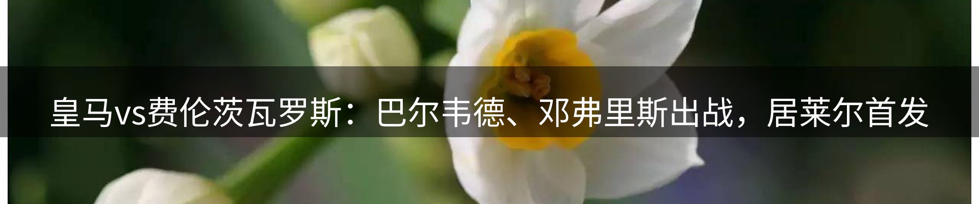 品牌资讯