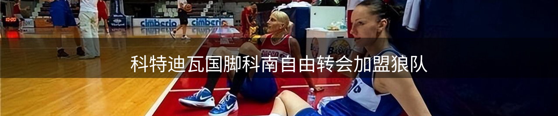 行业汇总